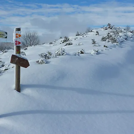 Гостевой дом La Bergerie Du Plateau