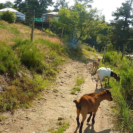 Maison d'hôtes La Bergerie Du Plateau *