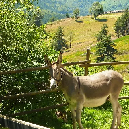 La Bergerie Du Plateau Maison d'hôtes *