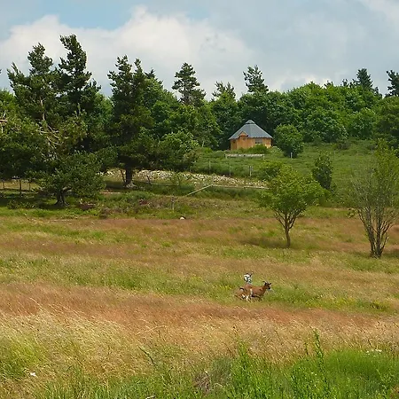 Гостевой дом La Bergerie Du Plateau Cros-de-Georand